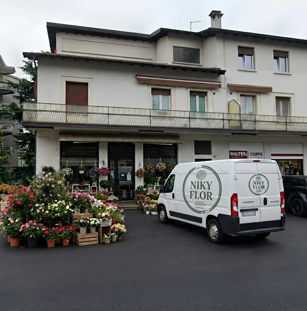 Furgone Consegna Nikyflor